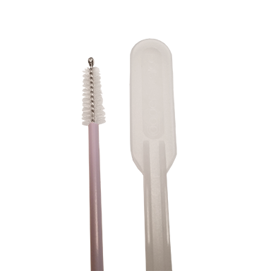 brush and spatula