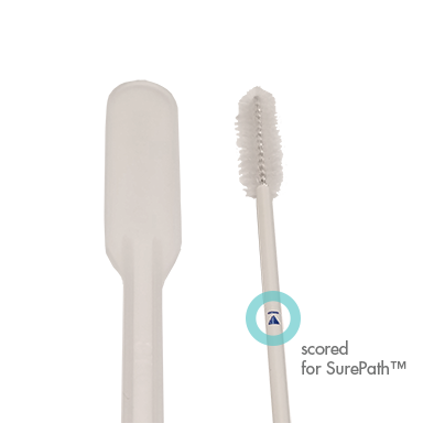 scored brush and spatula tm