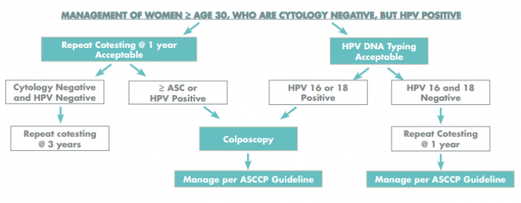 Ezért kell HPV-teszt akkor is, ha negatív a citológiai lelet - EgészségKalauz